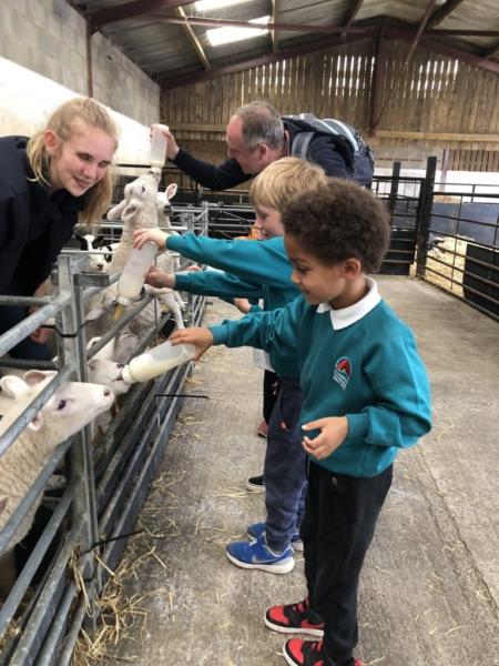 FVJGG CX0 AAF76 C 768x1024