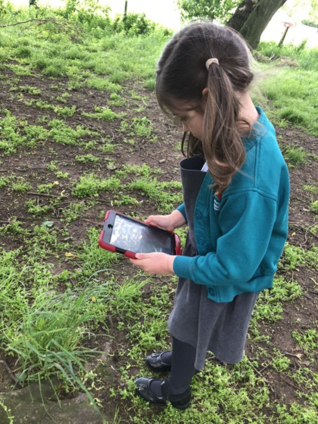 FTNL Jnm WIA Am S Xb 768x1024